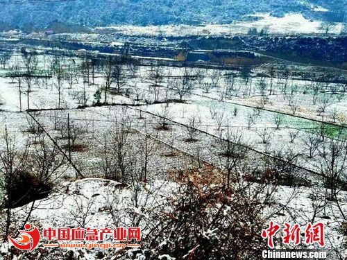 图为甘肃陇南市宕昌县城郊披上“银装”的农田。