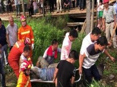 316国道农用车被撞上殃及路人 临川消防迅速救援